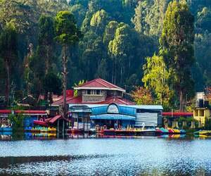 Kodai Local Sightseeing Packages