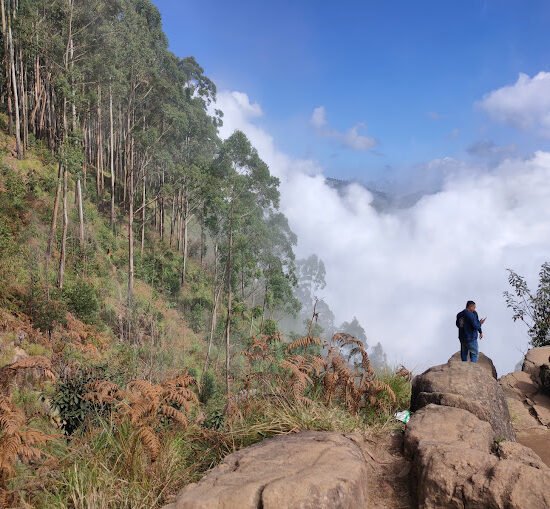 Kodai Trekking