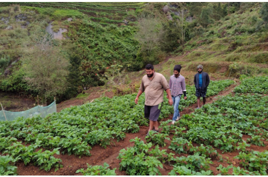 Kodai Trekking